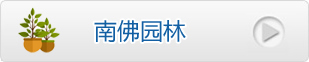 爱游戏网页版