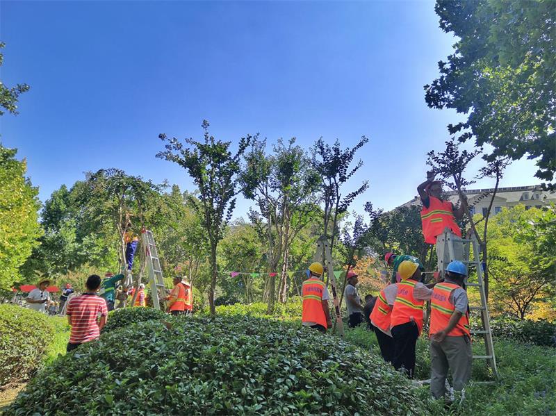 爱游戏网页版承办全市住建系统园林绿化工职业技能大赛